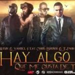 Wisin y Yandel Ft. Chris Brown y T-Pain - Algo Me Gusta De Ti MP3