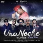 Blingz Ft. Randy, Lary Over, Guelo Star, Lyan & Mc Ceja - Una Noche (Remix) MP3
